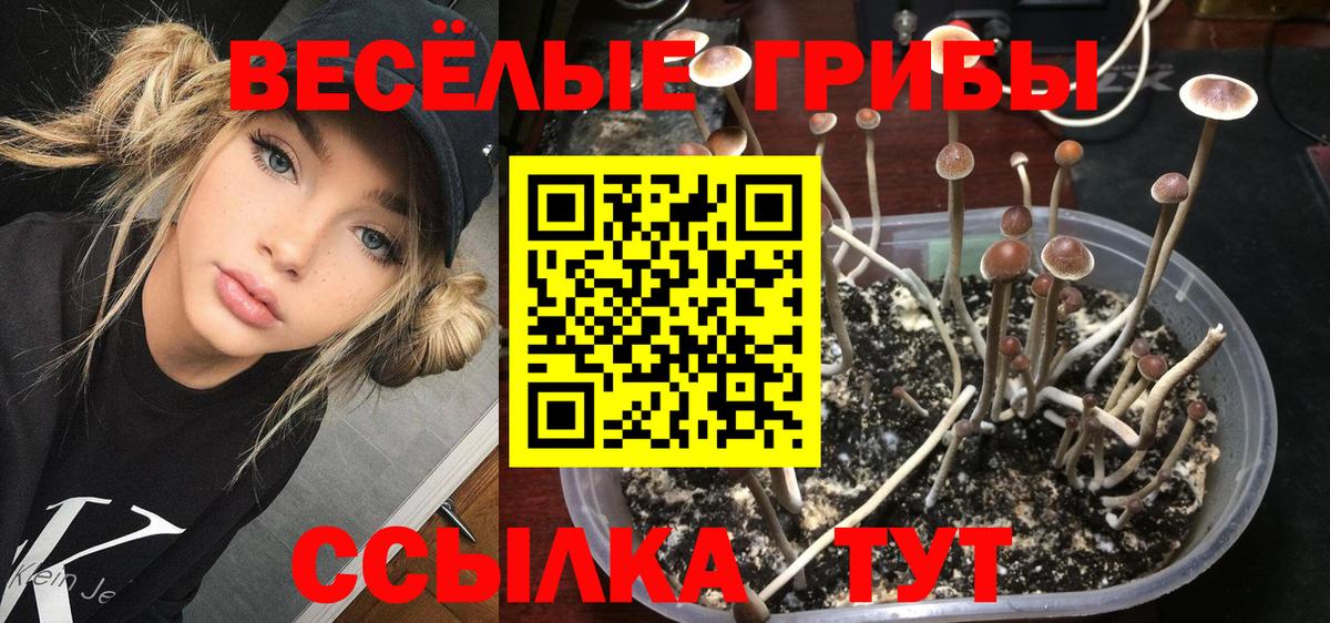 Псилоцибиновые грибы ЛСД  Вход с VPN  Дзержинск 